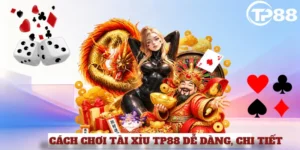 CÁCH CHƠI TÀI XỈU TP88, DỄ DÀNG, CHI TIẾT